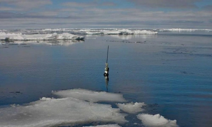 Что таит морская бездна? Захватывающие открытия ученых со всего мира