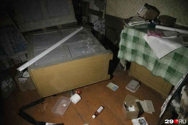 Источник: Иван Митюшёв / 29.RU