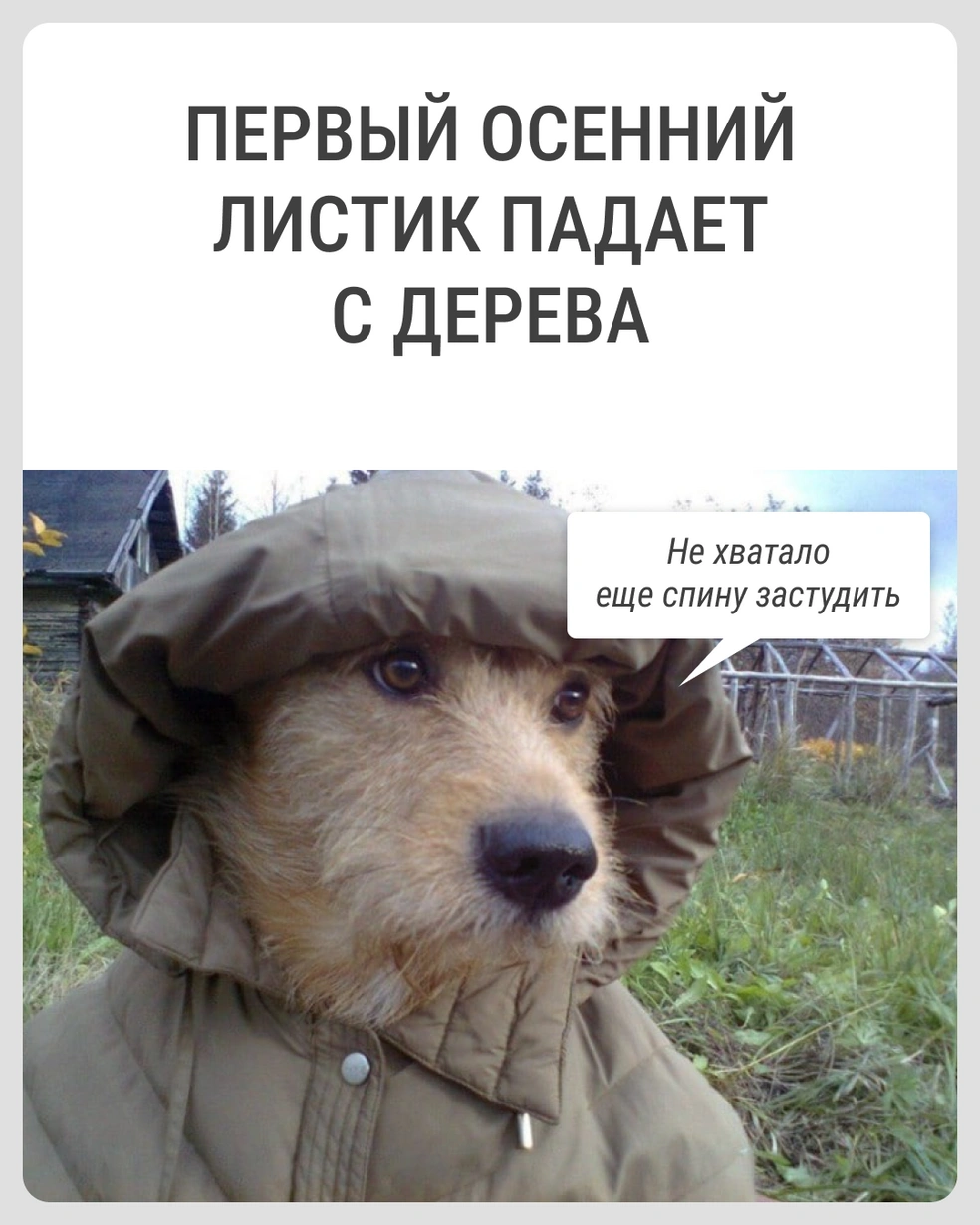 Ага, потом еще лечиться! | Источник: Городские медиа