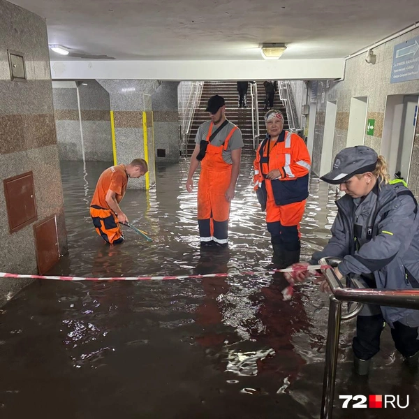 Источник: Анастасия Малышкина / 72.RU