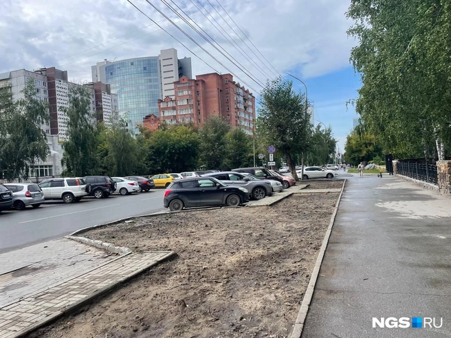 Обновить газон планируют по обе стороны дороги | Источник: Александр Ощепков / NGS.RU