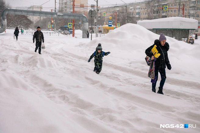 Источник: Максим Серков / NGS42.RU