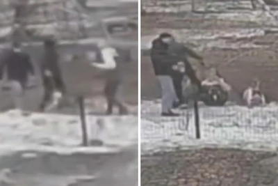 Собачники подрались в Омске из-за правил выгула