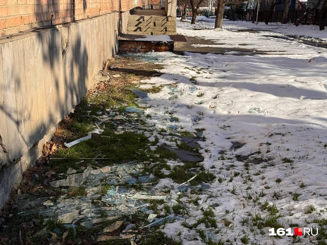 Источник: Ирина Бабичева / 161.RU