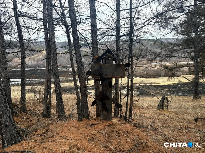 Источник: Егор Захаров / CHITA.RU
