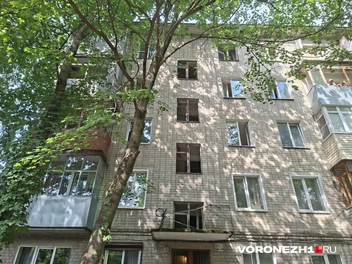 Источник: Алёна Воропаева / Voronezh1.ru