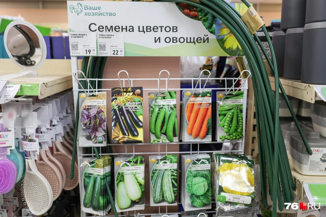 Семена для цветов и овощей продаются по фиксированным ценам&nbsp;— от 19 до 22 рублей | Источник: Артем Бауман / 76.RU