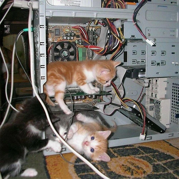 Источник: соцсети