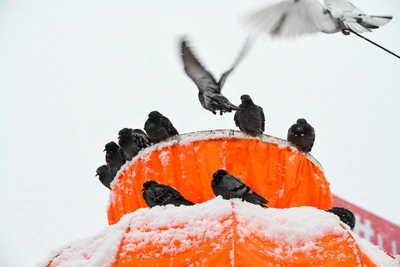 На Урале ожидается похолодание до -25 градусов