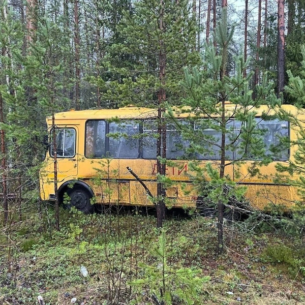 Водителю стало плохо: школьный автобус попал в ДТП в Выборгском районе Ленобласти | Источник: Мегаполис | ДТП и ЧП | Санкт-Петербург |