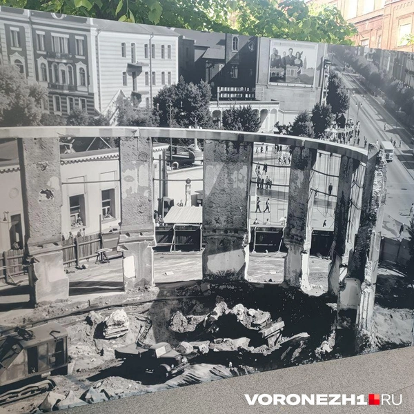 Источник: Алёна Воропаева / Voronezh1.ru