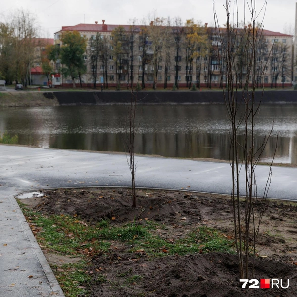 Источник: Ирина Шарова / 72.RU