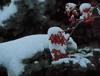 Источник: фильм «Служебный роман» (1977)