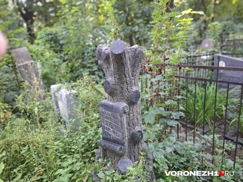 Источник: Алёна Воропаева / Voronezh1.ru