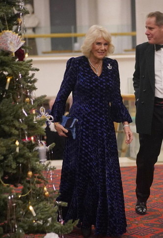 Лишила дара речи: королева Камилла в самом роскошном праздничном наряде в истории