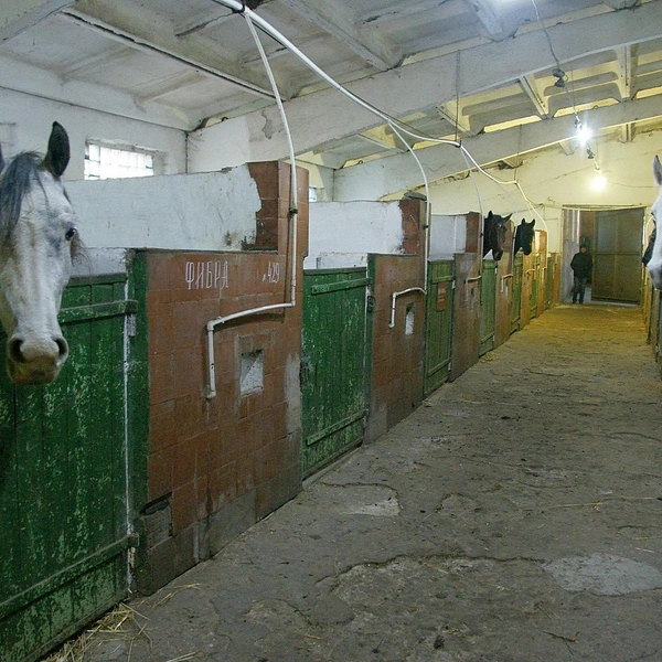 Источник: Александр Зинченко / Voronezh1.ru