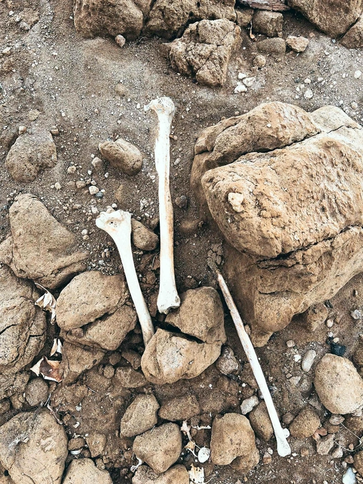 Источник: Красивые места России | Колоткин Игорь / Vk.com