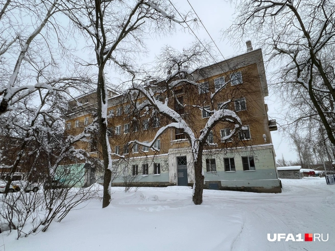 Спрятался за деревьями | Источник: Андрей Бирюков / UFA1.RU