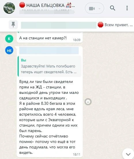Среди участников чата «Наша Ельцовка» нашлась только одна жительница, которая была неподалеку в тот день | Источник: Скриншот из мессенджера