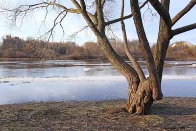 Прогноз погоды в Центральной России на неделю
