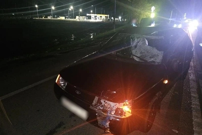 Пенсионер погиб в ДТП на трассе в Воронежской области