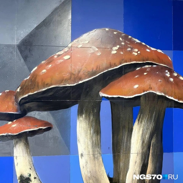 Источник: Мария Лобанова / NGS70.RU