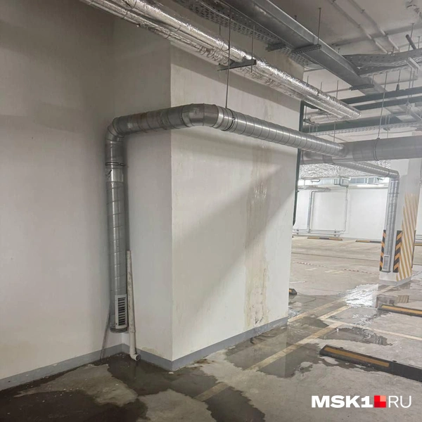 Источник: читательница MSK1.RU Светлана