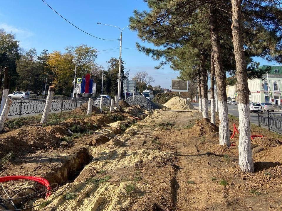 Высадка сосен в Новочеркасске запланирована на конец года