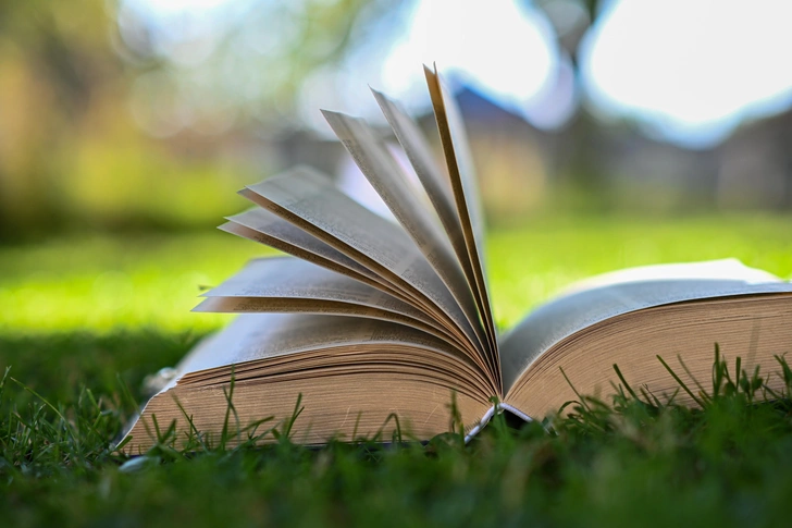 Азиатский стиль: 10 книг, аниме и дорам для тех, кто хочет погрузиться в восточную культуру | Источник: Juraj Kral/Shutterstock/Fotodom.ru