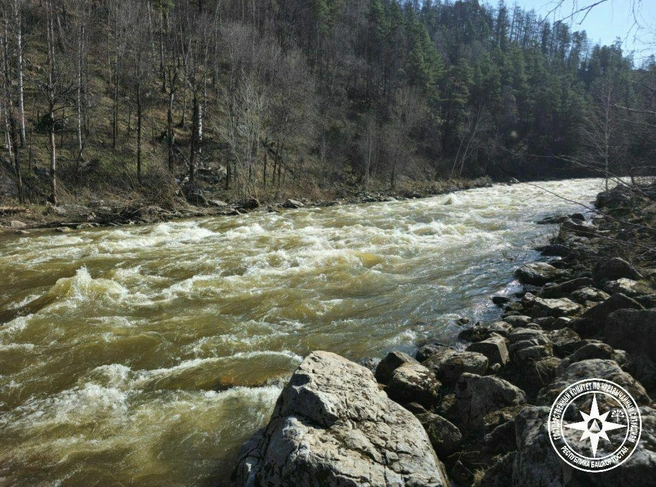 Природа, несмотря на то что красивая, еще и опасная | Источник: Кирилл Первов / Telegram