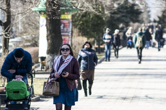 Данные опроса: треть ростовчан выбрали профессию под давлением родителей | 161.ru