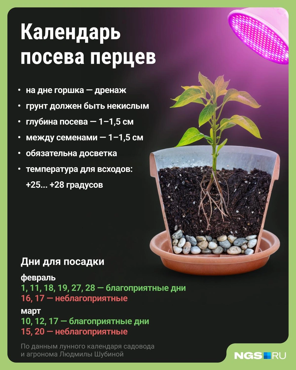 Источник: Юрий Орлов / Городские медиа