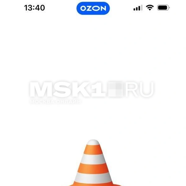 Технические неполадки на Ozon | Источник: редакция MSK1.RU