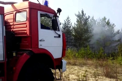Пожар в лесу Нейского района ликвидирован