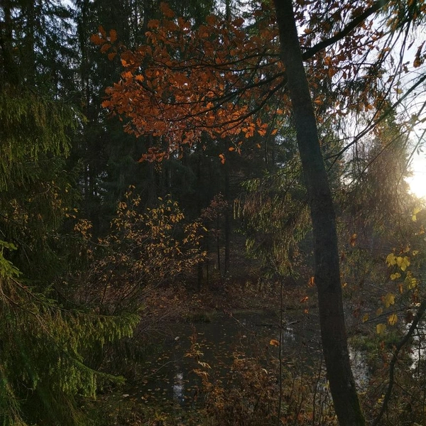 Долина реки Вори осенью | Источник: Анна Балакина