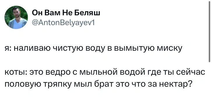 Источник: X (Twitter)