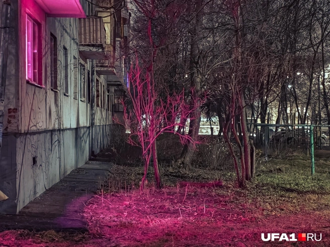 У кого-то в квартире портал открылся | Источник: Булат Салихов / UFA1.RU