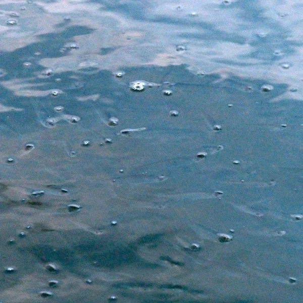 Источник: Павел Глазков / «Каждой твари по паре»