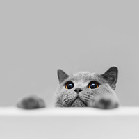 Аватарка 👩🏽&zwj;💼Валерия