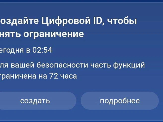 С аналогичной проблемой блокировки аккаунта столкнулась жена одного из читателей. | Источник: читатель E1.RU