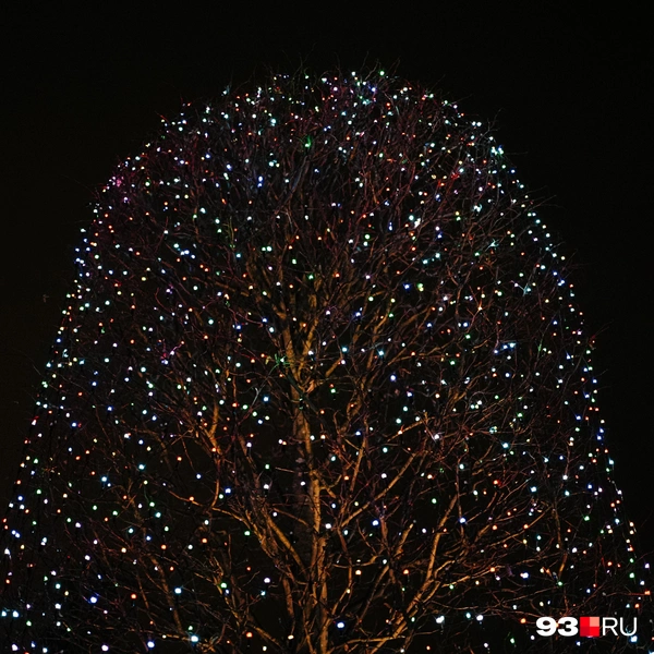 Источник: Дарья Паращенко / 93.RU