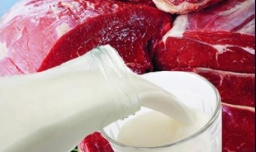 Россия запрещает ввоз молочных и мясных продуктов из Франции