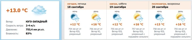 Скриншшот с meteo.nw.ru