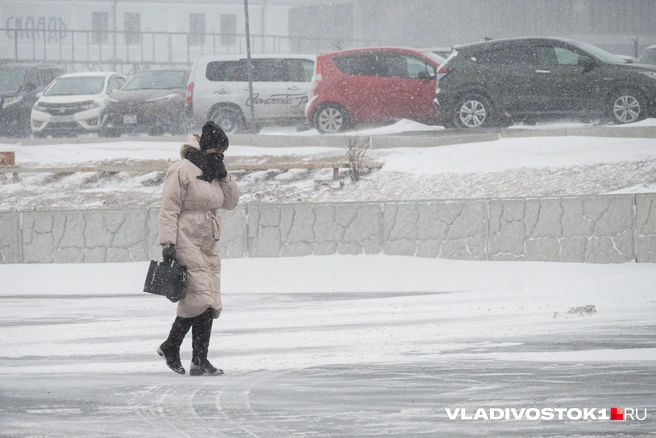 Порывы могут превышать 25 метров в секунду | Источник: Елена Буйвол / VLADIVOSTOK1.RU