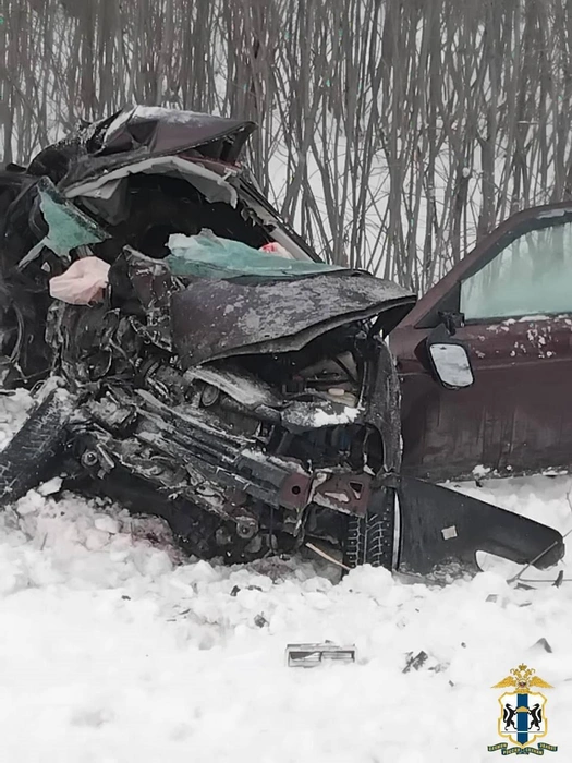 Бампер машины сильно поврежден | Источник: ГУ МВД России по Новосибирской области