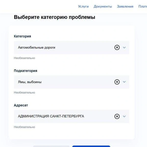 Источник: Госуслуги