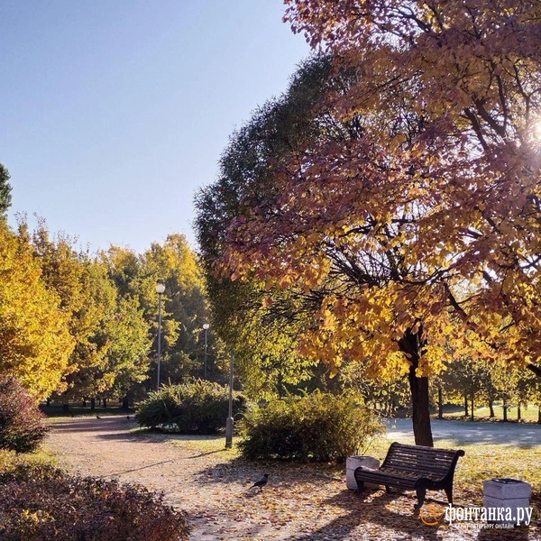 Источник: читатель «Фонтанки»