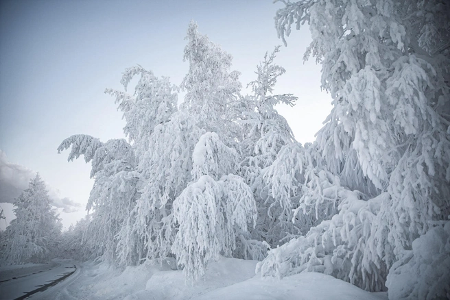 Источник: Елена Вишневская / Vk.com