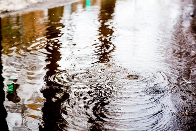 Выходные в Воронеже принесут дожди и гололедицу