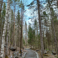 Аватарка Татьяна